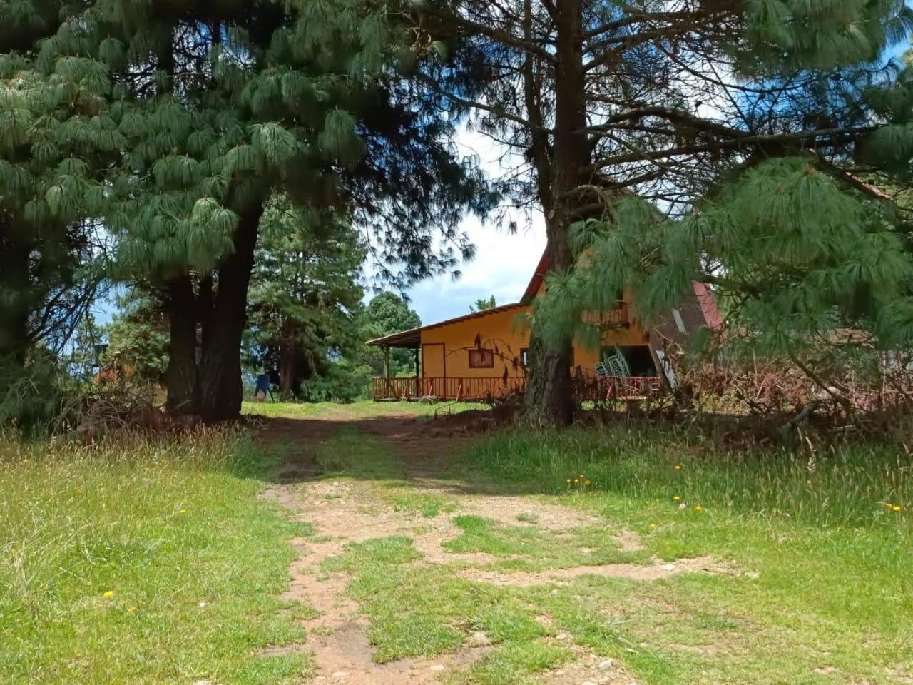 Chalets Amarelo Suesca Eksteriør bilde